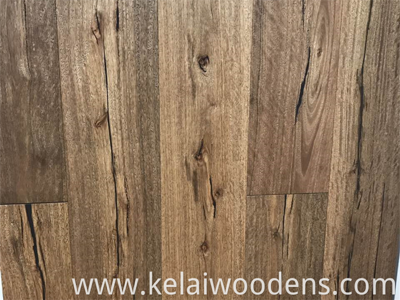 spotted gum engineered wood floor (4)